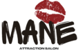 Mane Attraction Salon (Phoenix, AZ)